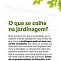 Antevisão Folheto LIDL Especial Jardinagem d3.jpg